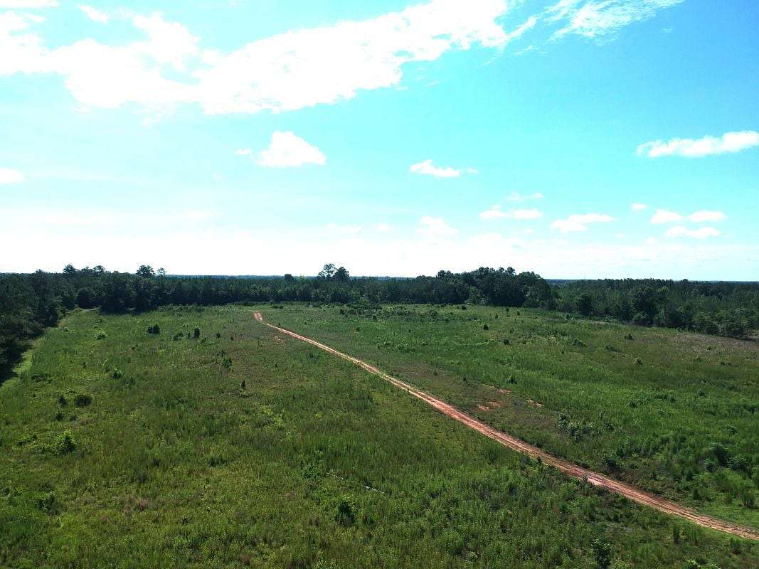 21.6 Acres of Land for Sale in Coleman, Georgia