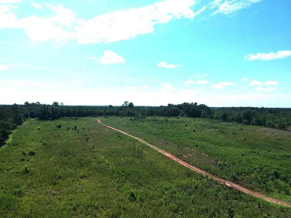 21.6 Acres of Land for Sale in Coleman, Georgia