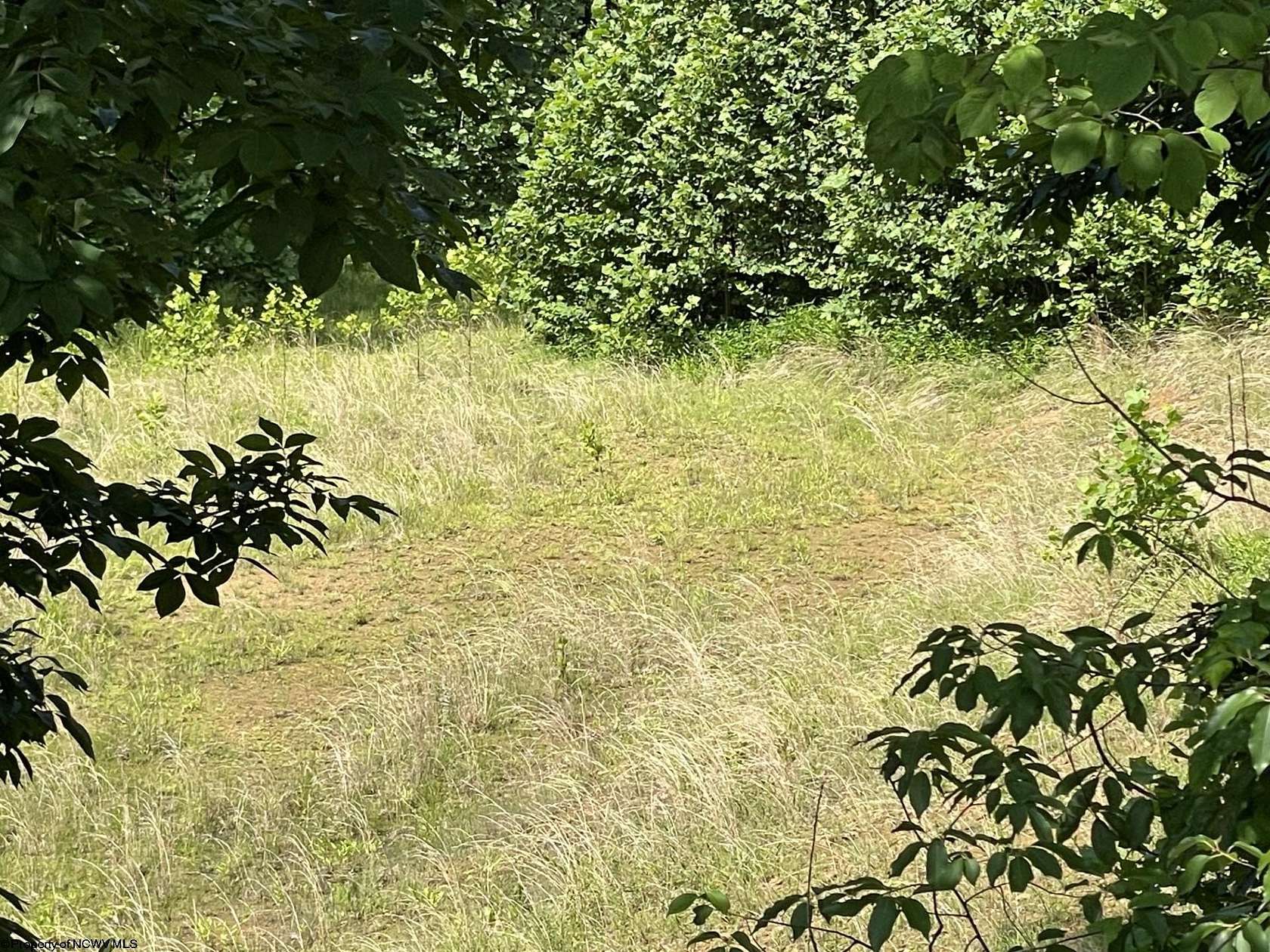 6.3 Acres of Residential Land for Sale in Morgantown, West Virginia