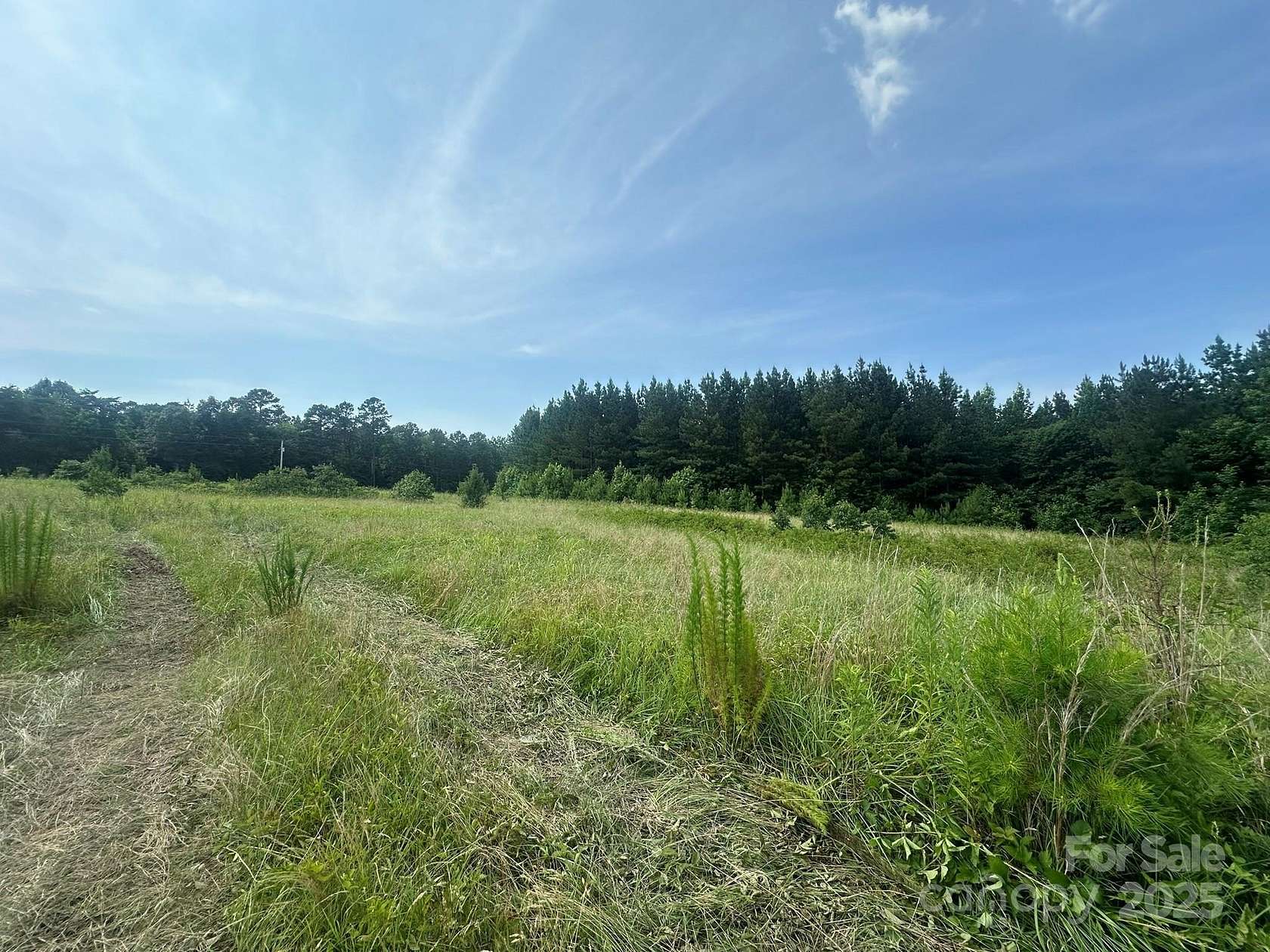 20 Acres of Land for Sale in Iron Station, North Carolina