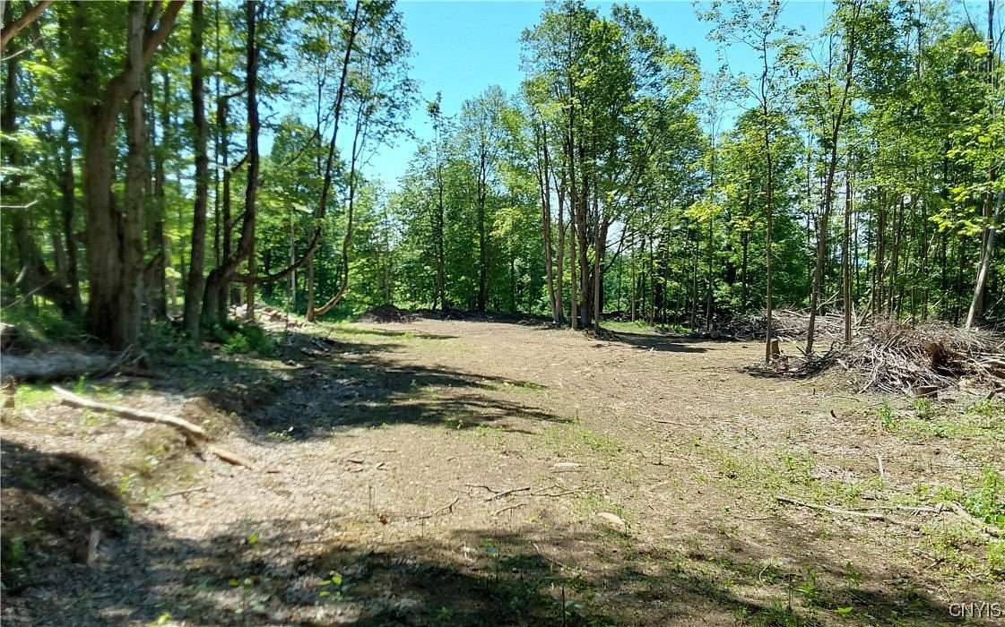 23.1 Acres of Recreational Land for Sale in Newport, New York