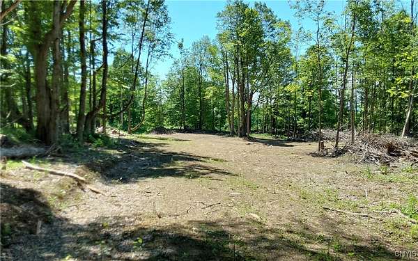 23.1 Acres of Recreational Land for Sale in Newport, New York