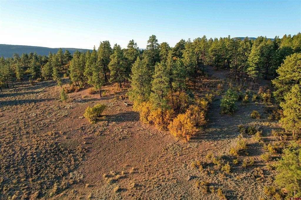 35 Acres of Recreational Land for Sale in Pagosa Springs, Colorado