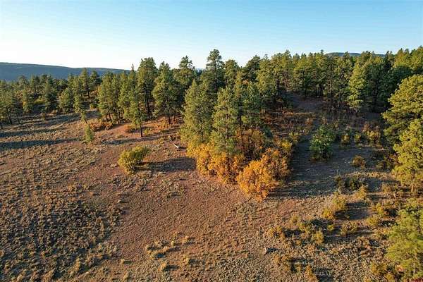35 Acres of Recreational Land for Sale in Pagosa Springs, Colorado