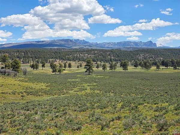 35 Acres of Land for Sale in Pagosa Springs, Colorado