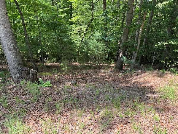 1.13 Acres of Land for Sale in Blairsville, Georgia