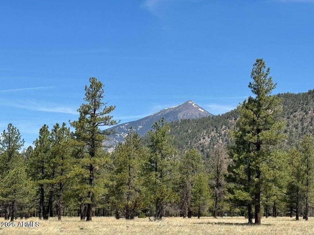 6 Acres of Residential Land for Sale in Flagstaff, Arizona