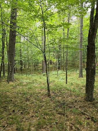 1 Acre of Residential Land for Sale in Jay, New York