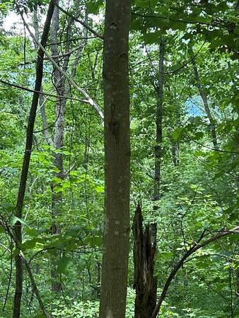 1.15 Acres of Land for Sale in Murphy, North Carolina