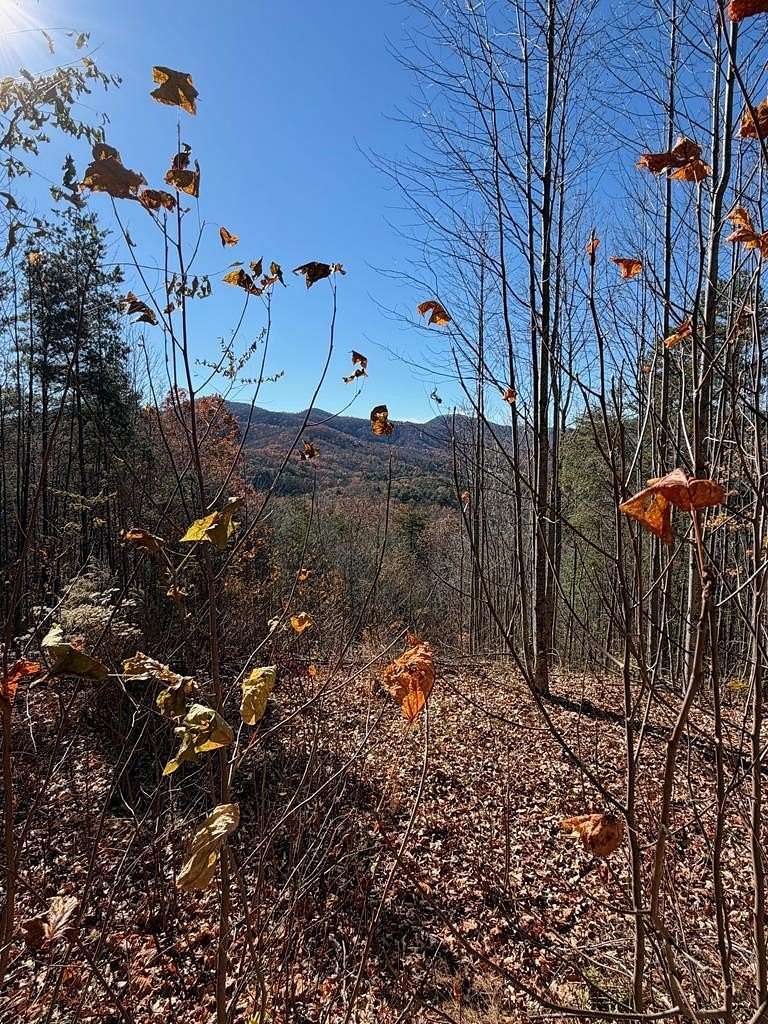 1 Acre of Residential Land for Sale in Murphy, North Carolina