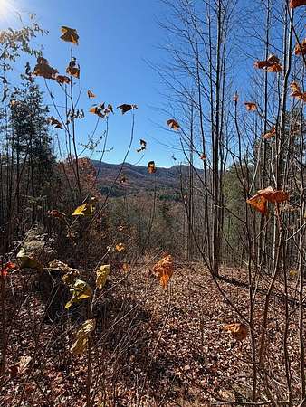 1 Acre of Residential Land for Sale in Murphy, North Carolina