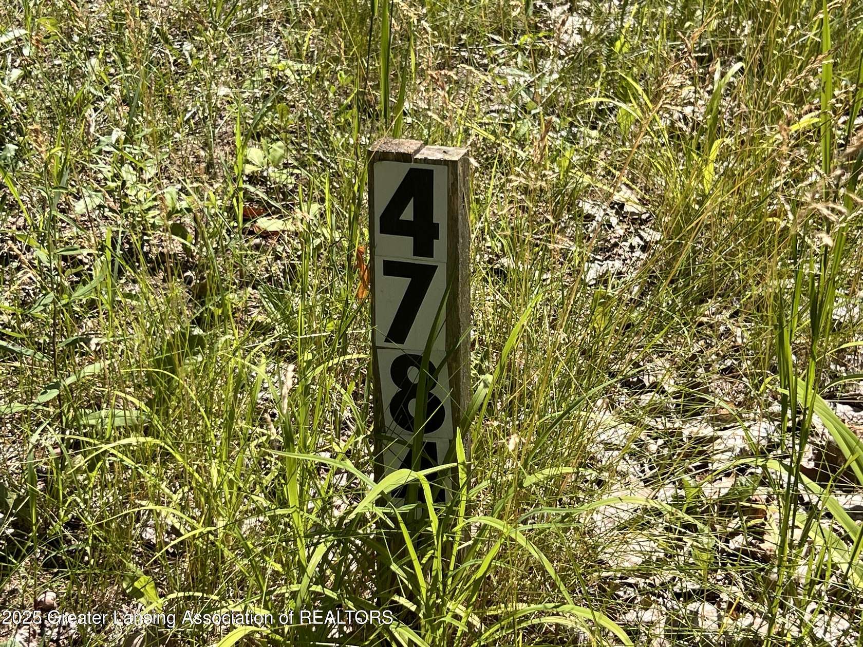 1 Acre of Land for Sale in Lakeview, Michigan