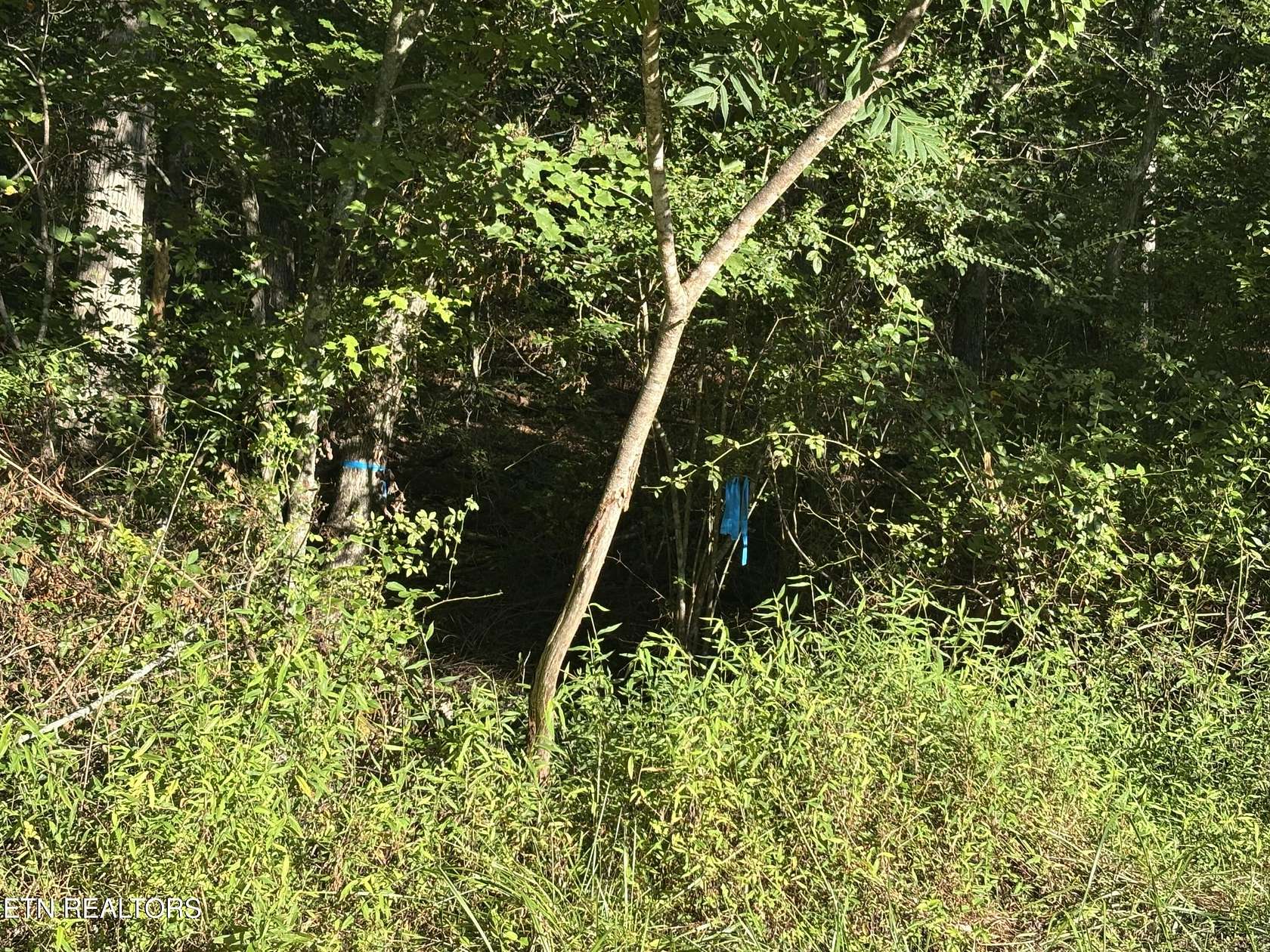 0.75 Acres of Land for Sale in Crossville, Tennessee