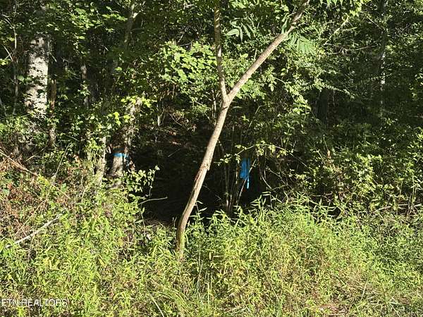 0.75 Acres of Land for Sale in Crossville, Tennessee