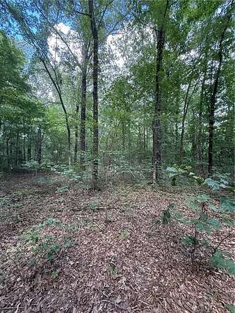 10.3 Acres of Land for Sale in Atkins, Arkansas