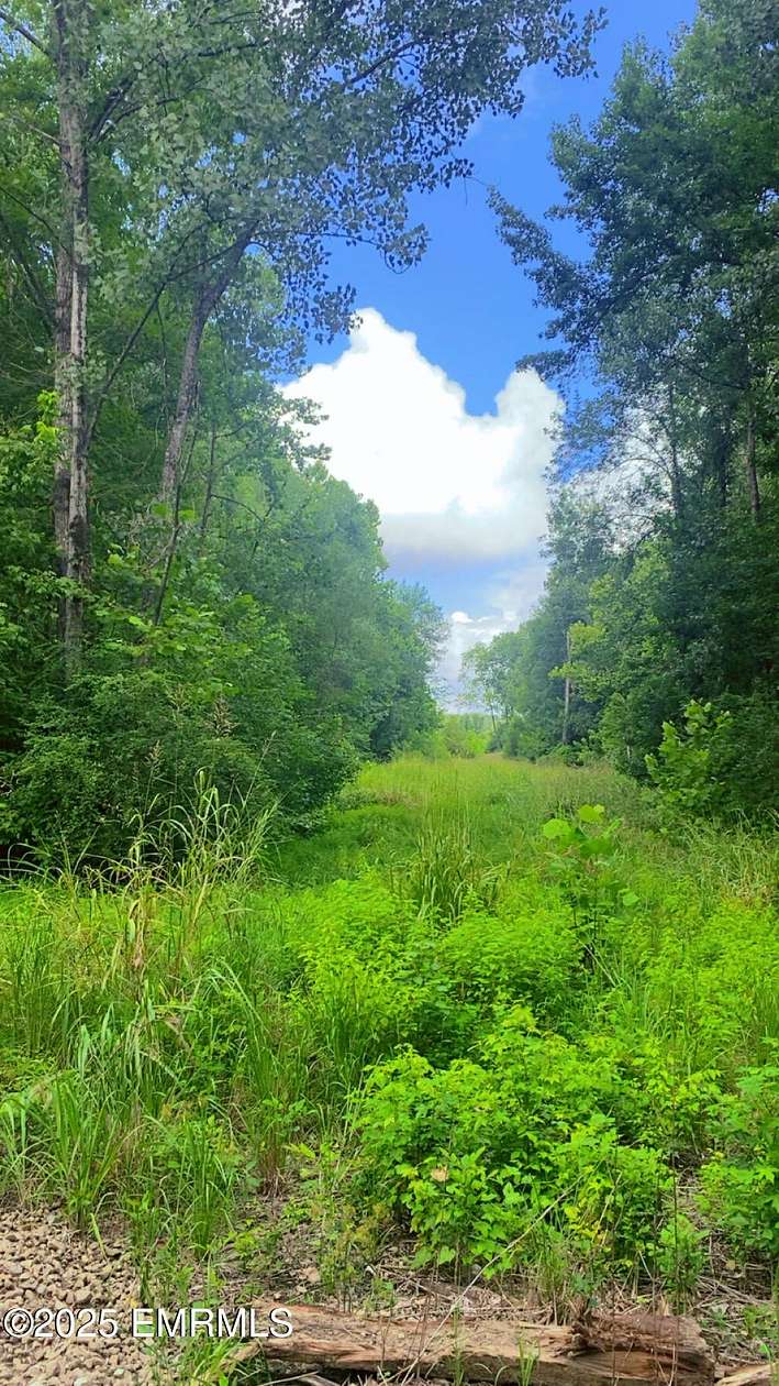 296 Acres of Recreational Land for Sale in Philadelphia, Mississippi