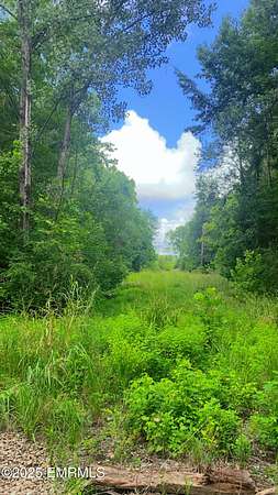 296 Acres of Recreational Land for Sale in Philadelphia, Mississippi