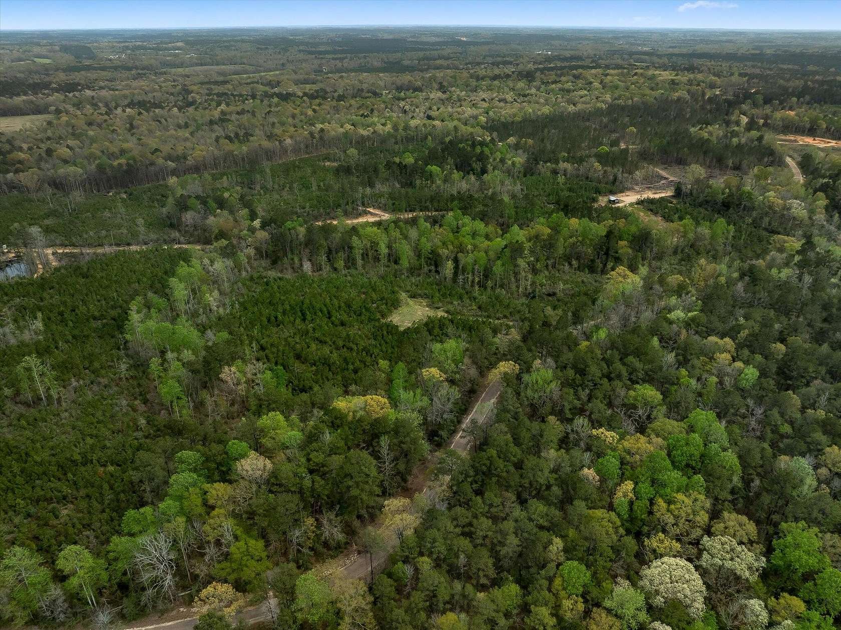 33 Acres of Recreational Land for Sale in Silver Creek, Mississippi