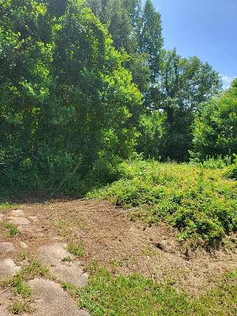 2.5 Acres of Residential Land for Sale in Petal, Mississippi