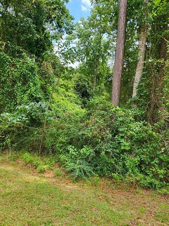 1.33 Acres of Residential Land for Sale in Carriere, Mississippi