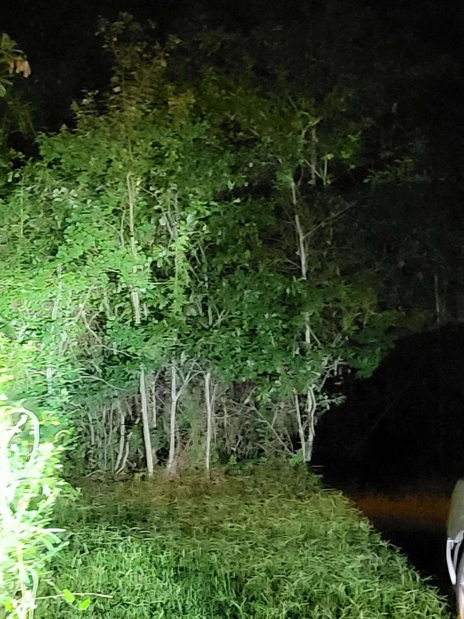 0.49 Acres of Residential Land for Sale in Picayune, Mississippi