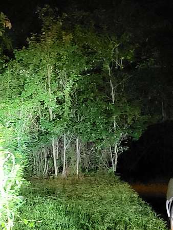 0.49 Acres of Residential Land for Sale in Picayune, Mississippi