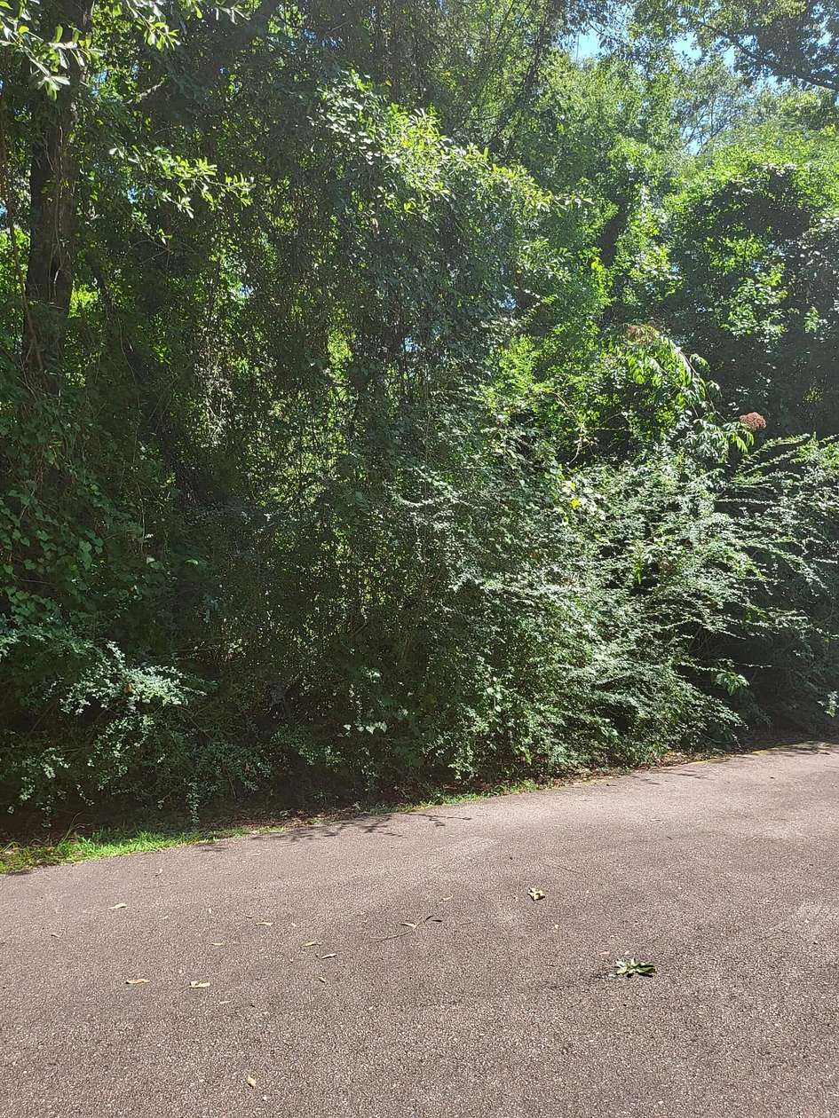 0.66 Acres of Land for Sale in Carriere, Mississippi