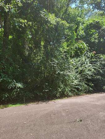0.66 Acres of Residential Land for Sale in Carriere, Mississippi