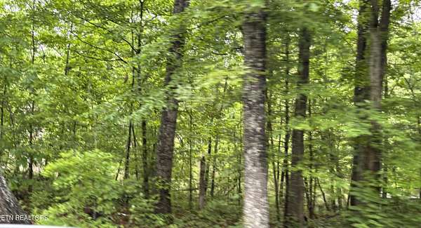 0.2 Acres of Land for Sale in Crossville, Tennessee