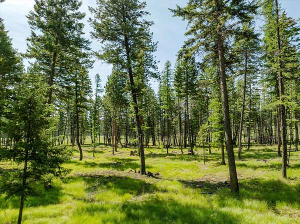 5 Acres of Residential Land for Sale in Kalispell, Montana