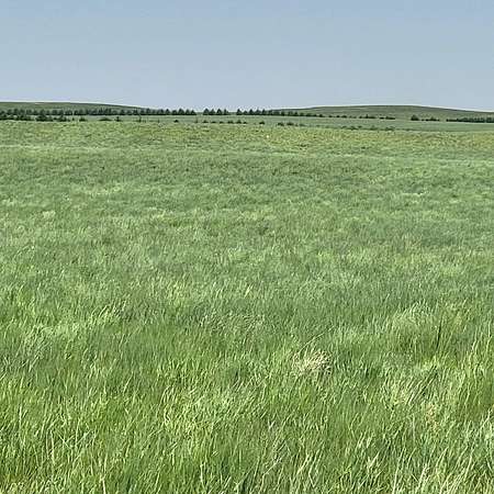 80 Acres of Agricultural Land for Sale in Kimball, Nebraska
