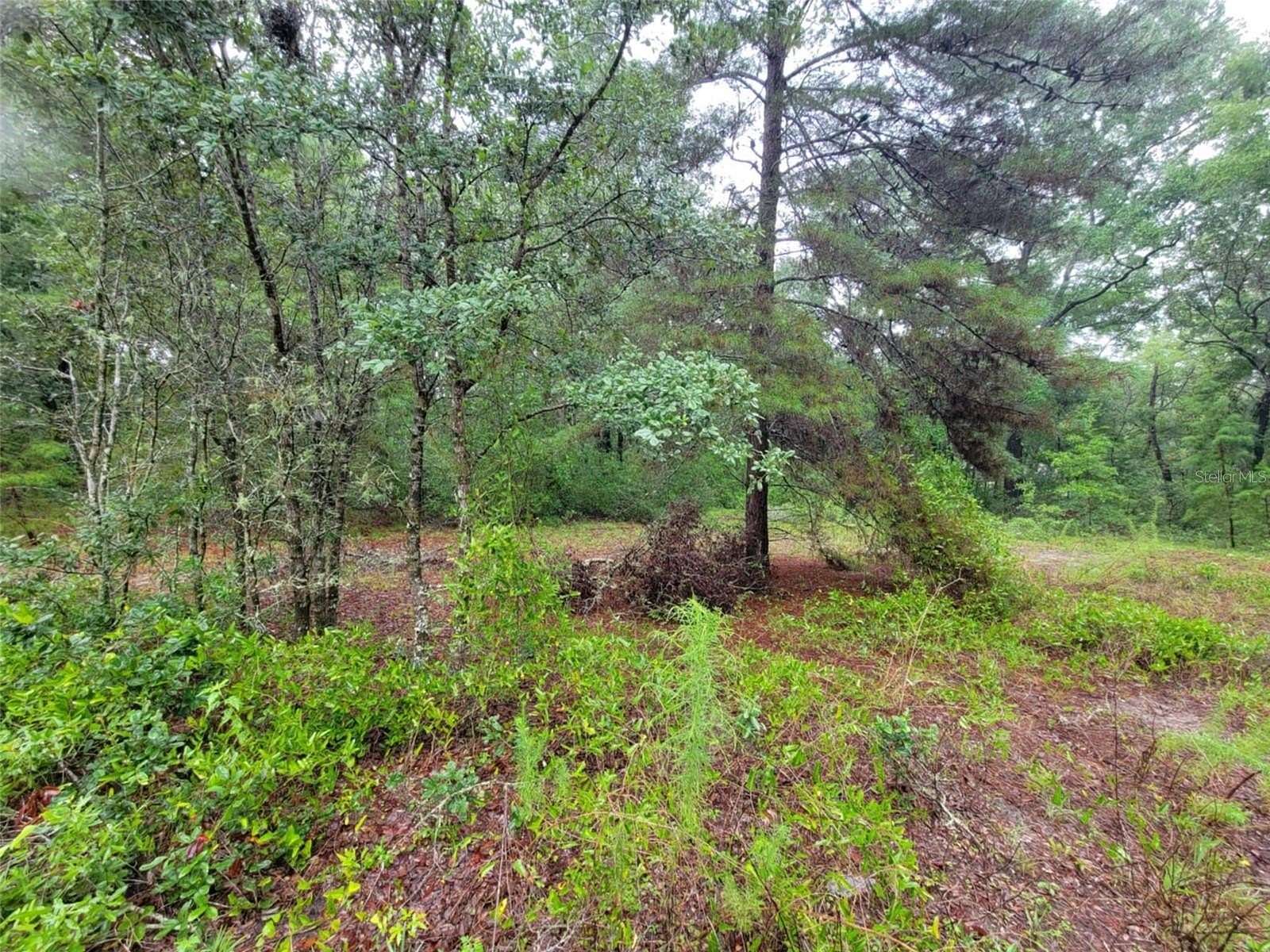 0.24 Acres of Residential Land for Sale in Dunnellon, Florida