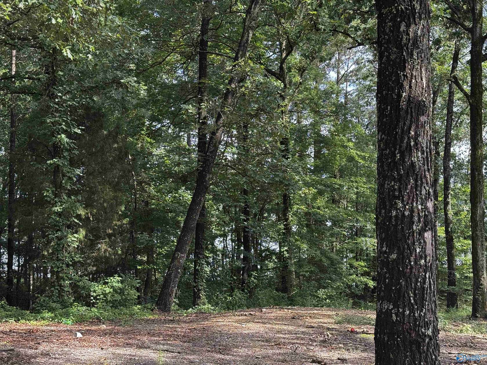 0.88 Acres of Residential Land for Sale in Centre, Alabama