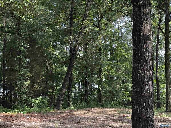 0.88 Acres of Residential Land for Sale in Centre, Alabama