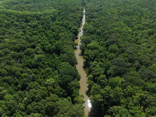 11.2 Acres of Recreational Land for Sale in Conway, Arkansas