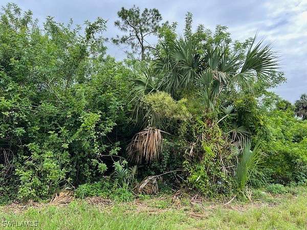 0.29 Acres of Residential Land for Sale in Lehigh Acres, Florida