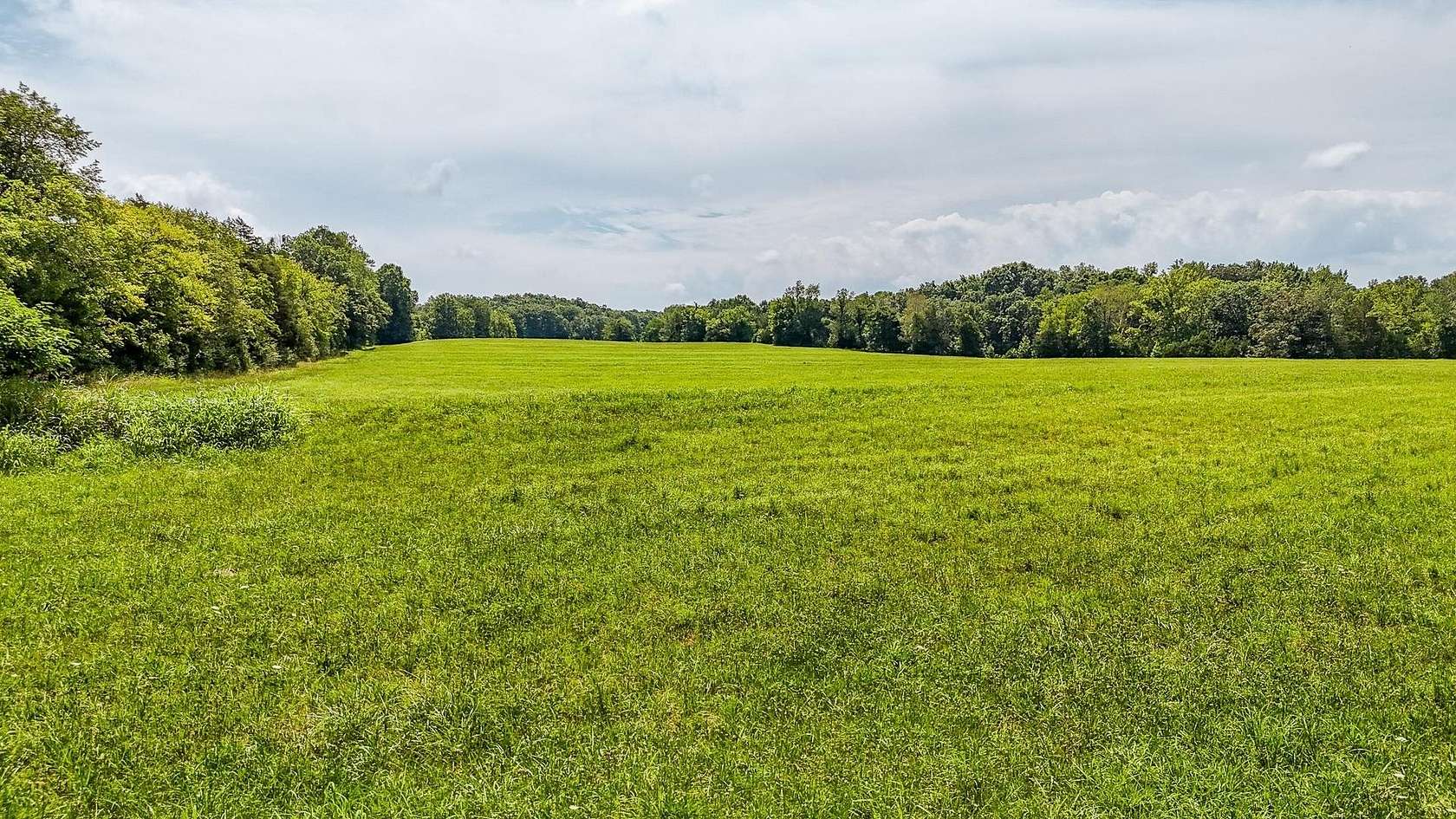 250 Acres of Recreational & Residential Land for Sale in Savannah, Tennessee