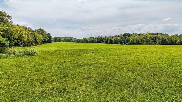 250 Acres of Recreational & Residential Land for Sale in Savannah, Tennessee