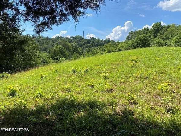22.5 Acres of Recreational Land for Sale in Bulls Gap, Tennessee