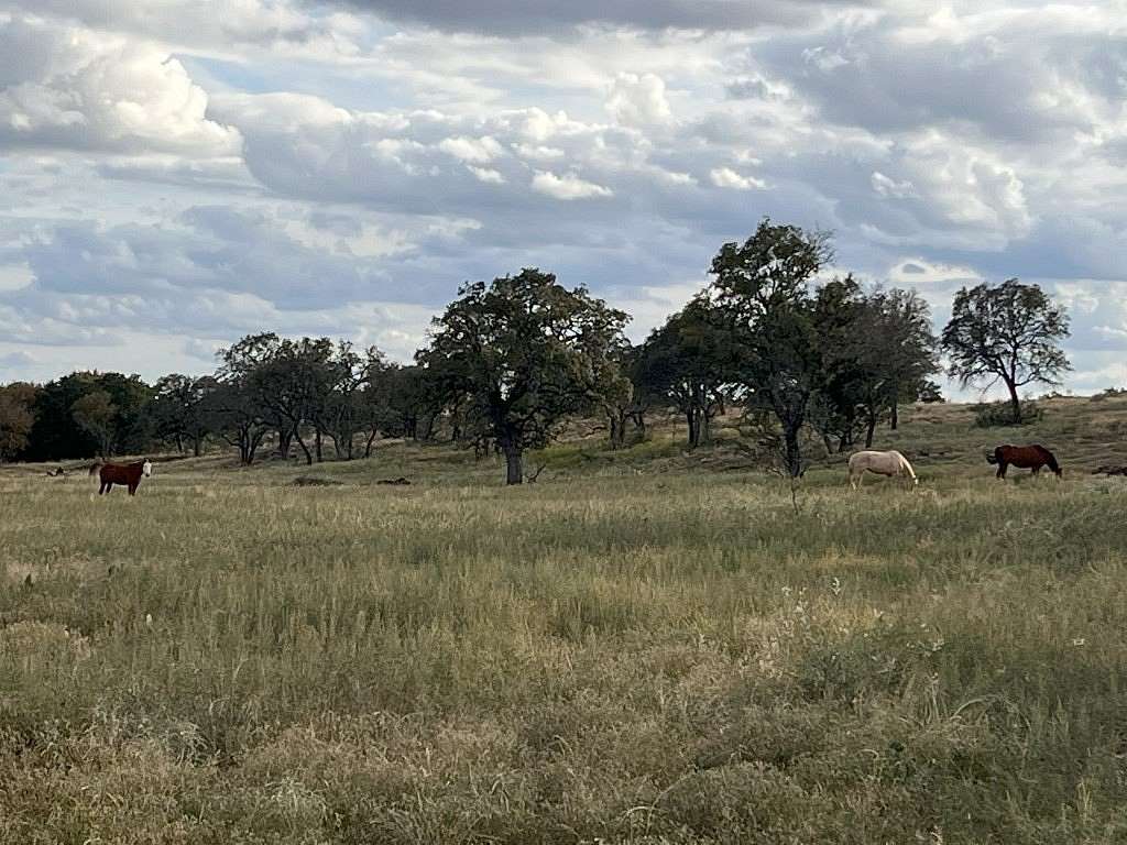 320 Acres of Land for Sale in Voca, Texas