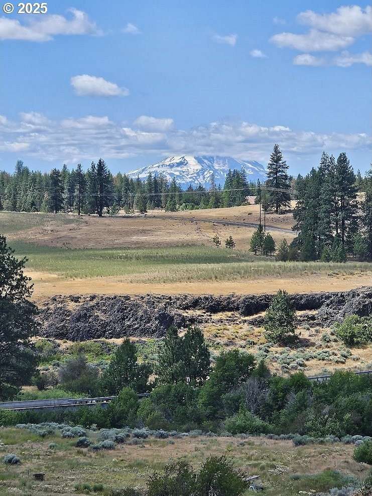 20.3 Acres of Land for Sale in Centerville, Washington