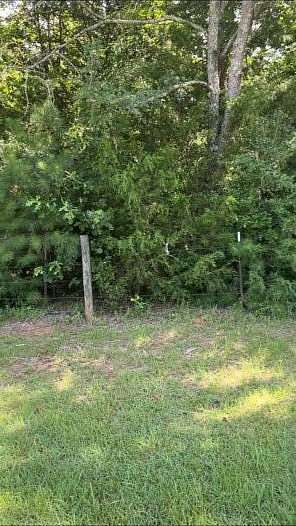 56.4 Acres of Recreational & Residential Land for Sale in Nacogdoches, Texas
