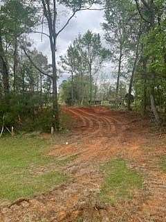 56.4 Acres of Recreational & Residential Land for Sale in Nacogdoches, Texas