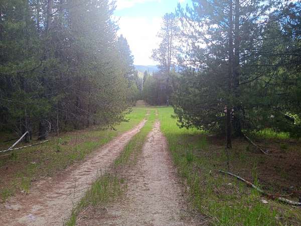 10.9 Acres of Land with Home for Sale in De Borgia, Montana