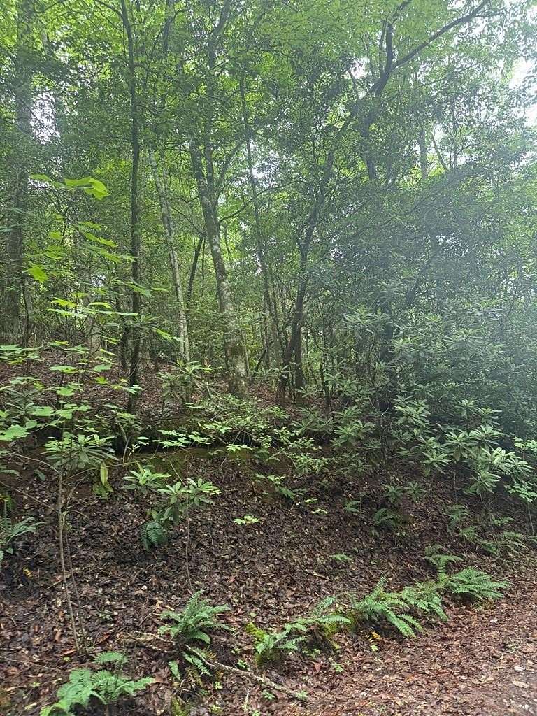 1.34 Acres of Land for Sale in Franklin Township, North Carolina