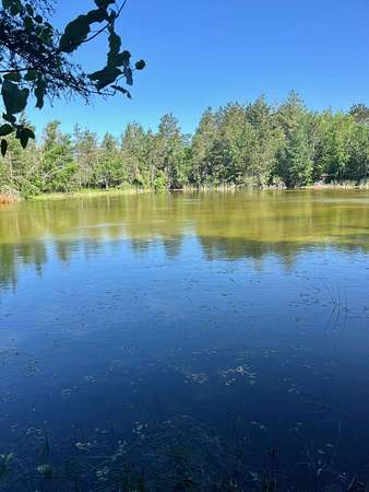 Land for Sale in Atlanta, Michigan