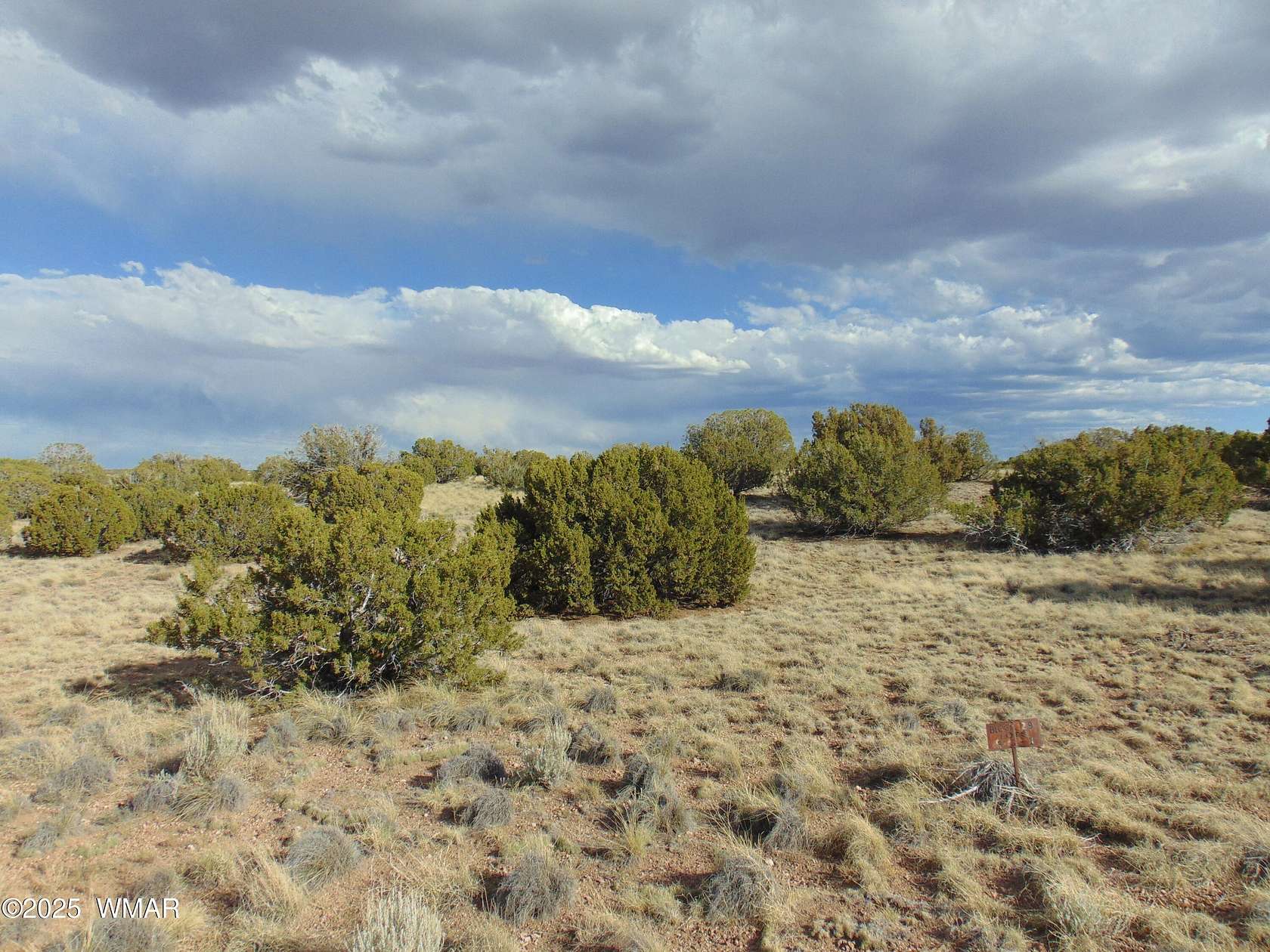 1 Acre of Residential Land for Sale in Concho, Arizona