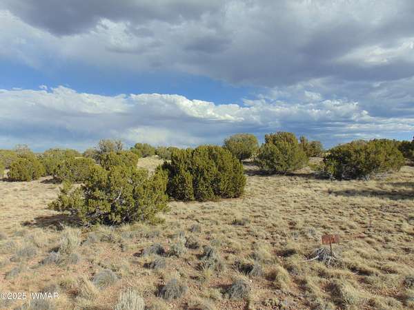 1 Acre of Residential Land for Sale in Concho, Arizona