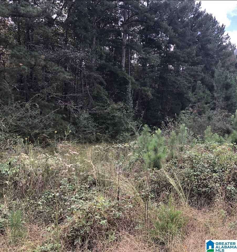 0.56 Acres of Residential Land for Sale in Lincoln, Alabama