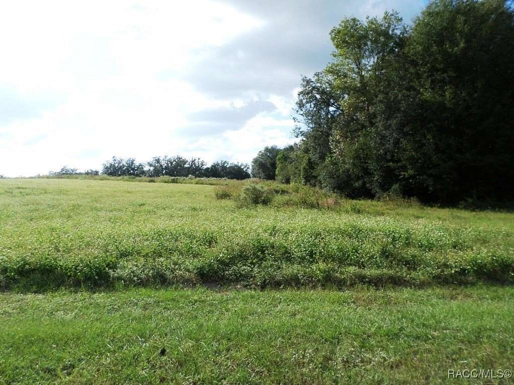 10 Acres of Agricultural Land for Sale in Dunnellon, Florida